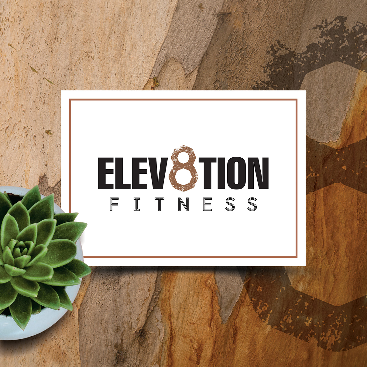 Elev8tion Fitness